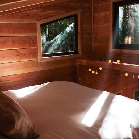 Cabanas Bosque Milenario Coñaripe 外观 照片