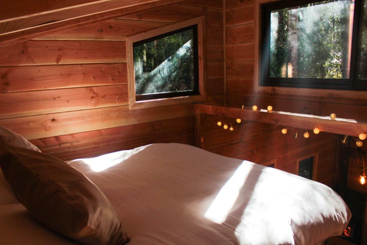 Cabanas Bosque Milenario Coñaripe 外观 照片