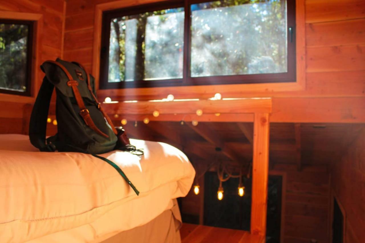 Cabanas Bosque Milenario Coñaripe 外观 照片