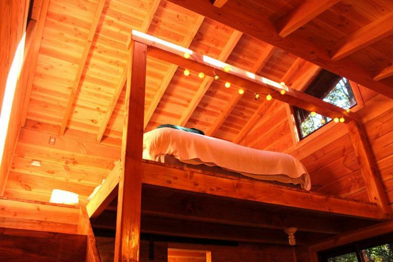 Cabanas Bosque Milenario Coñaripe 外观 照片