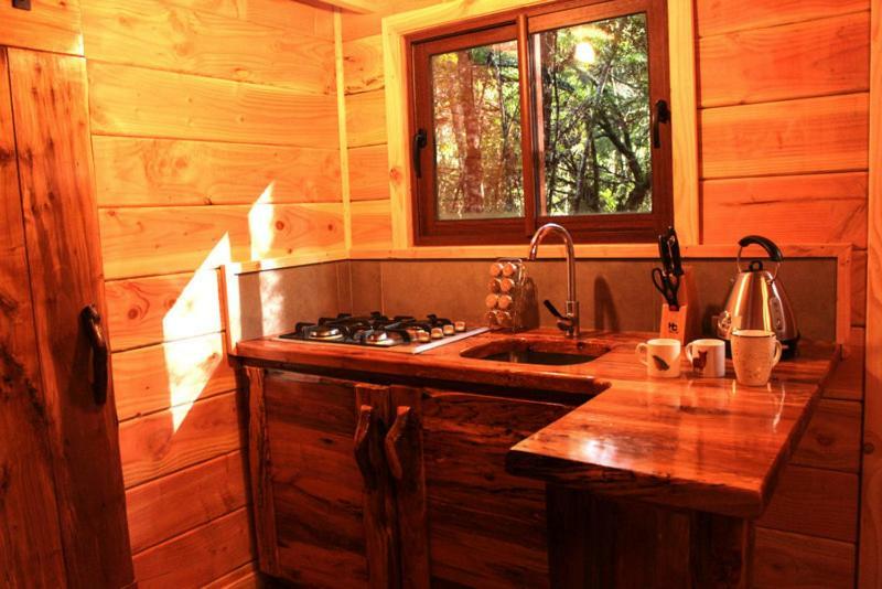 Cabanas Bosque Milenario Coñaripe 外观 照片