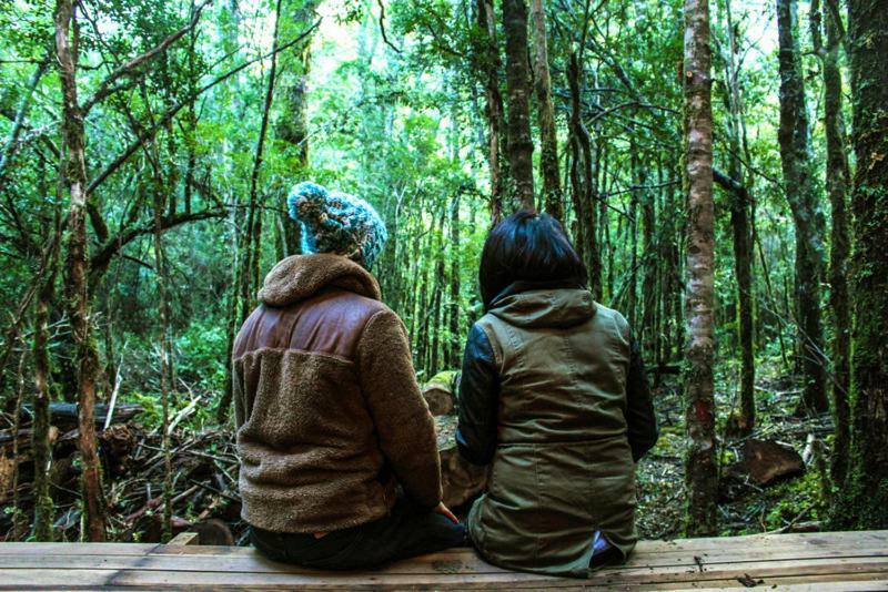 Cabanas Bosque Milenario Coñaripe 外观 照片