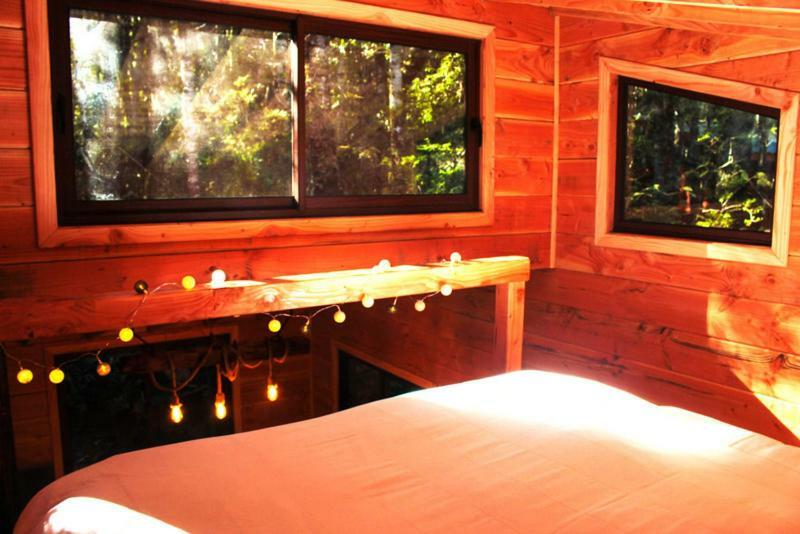 Cabanas Bosque Milenario Coñaripe 外观 照片