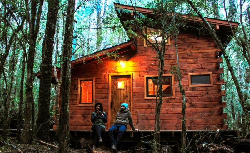 Cabanas Bosque Milenario Coñaripe 外观 照片