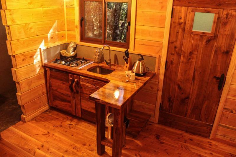 Cabanas Bosque Milenario Coñaripe 外观 照片