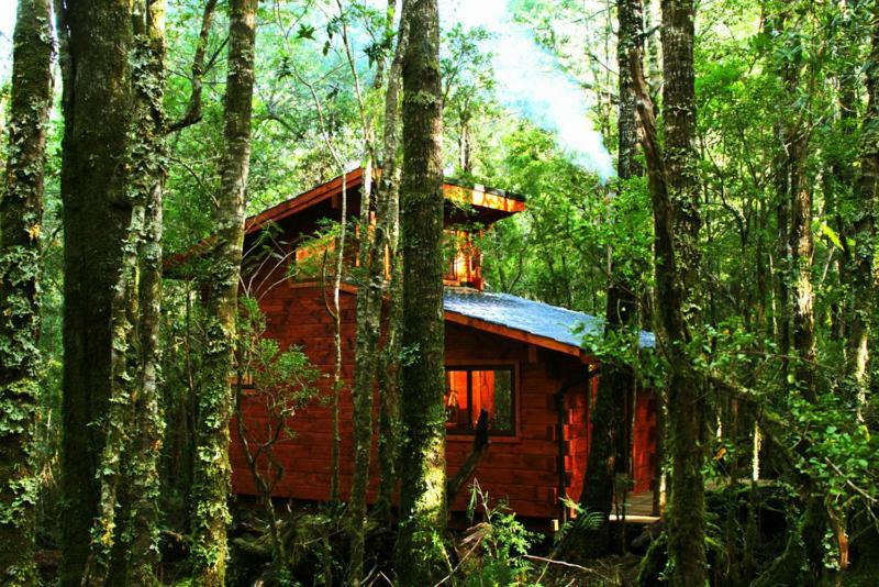 Cabanas Bosque Milenario Coñaripe 外观 照片