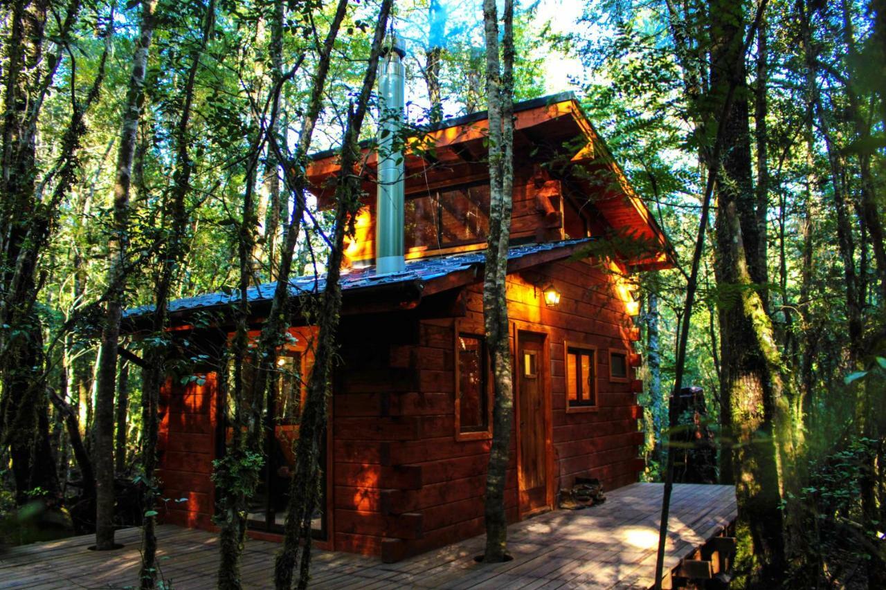 Cabanas Bosque Milenario Coñaripe 外观 照片