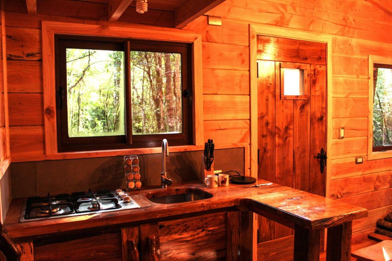 Cabanas Bosque Milenario Coñaripe 外观 照片
