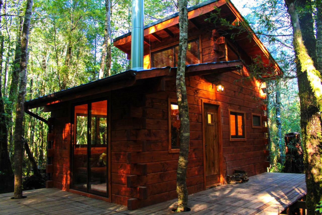 Cabanas Bosque Milenario Coñaripe 外观 照片