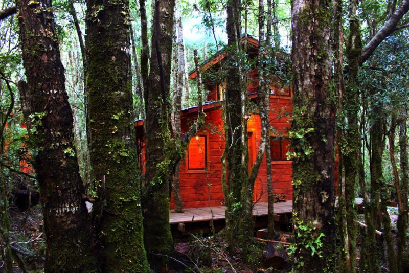 Cabanas Bosque Milenario Coñaripe 外观 照片